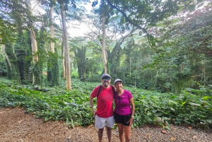Oahu: Waikiki E-Bike-Fahrt und Manoa Falls-Wanderung
