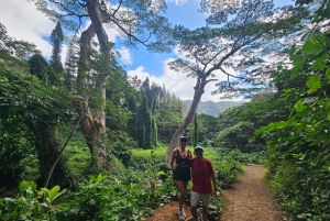 Oahu: Waikiki E-Bike-Fahrt und Manoa Falls-Wanderung