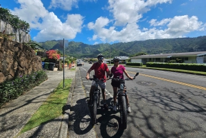 Oahu: Waikiki E-Bike-Fahrt und Manoa Falls-Wanderung