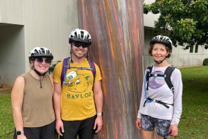 Oahu: Waikiki E-Bike-Fahrt und Manoa Falls-Wanderung
