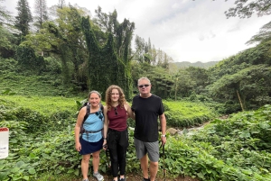 Oahu: Waikiki E-Bike-Fahrt und Manoa Falls-Wanderung