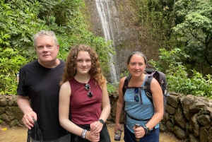 Oahu: Waikiki E-Bike-Fahrt und Manoa Falls-Wanderung