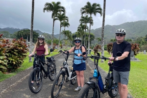 Oahu: Waikiki E-Bike-Fahrt und Manoa Falls-Wanderung
