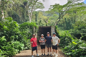 Oahu: Waikiki E-Bike-Fahrt und Manoa Falls-Wanderung