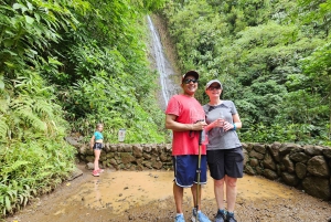Oahu: Waikiki E-Bike-Fahrt und Manoa Falls-Wanderung