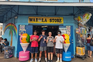 Oahu: Waikiki E-Bike-Fahrt und Manoa Falls-Wanderung