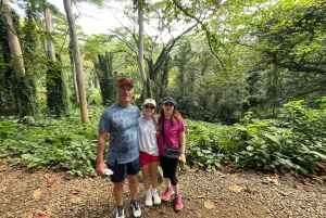 Oahu: Waikiki E-Bike-Fahrt und Manoa Falls-Wanderung