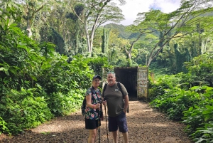 Oahu: Waikiki E-Bike-Fahrt und Manoa Falls-Wanderung