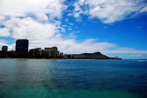 Oahu: Waikiki Eco-Friendly Afternoon Whale Watching Trip