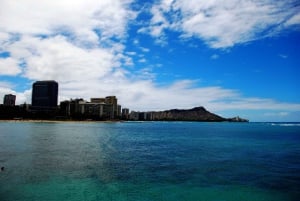 Oahu: Tarde de observação de baleias em Waikiki