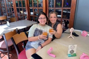 Oahu: Waikiki History Tour Pub Crawl