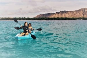 Oahu: passeio de caiaque em Waikiki e mergulho com tartarugas marinhas