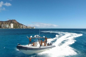 Oahu: Waikiki Private Schnorchel- und Wildtier-Bootstour