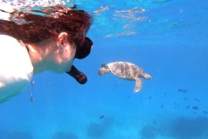 Oahu: privé-snorkel- en wildlife-boottocht in Waikiki