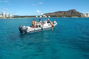 Oahu: tour privato in barca per lo snorkeling e la fauna selvatica di Waikiki