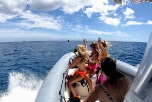 Oahu: Waikiki privat bådtur med snorkling og dyreliv