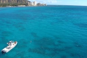Oahu: Waikiki Private Snorkeling e Wildlife Boat Tour