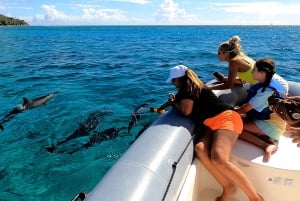 Oahu : Excursion privée en bateau à Waikiki pour la plongée avec tuba et la découverte de la faune et de la flore