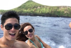 Oahu: tour privato in barca per lo snorkeling e la fauna selvatica di Waikiki