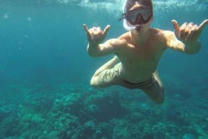 Oahu: tour privato in barca per lo snorkeling e la fauna selvatica di Waikiki