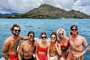 Oahu: tour privato in barca per lo snorkeling e la fauna selvatica di Waikiki