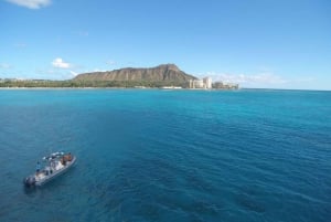 Oahu: tour privato in barca per lo snorkeling e la fauna selvatica di Waikiki