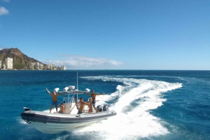 Oahu: Waikiki Private Schnorchel- und Wildtier-Bootstour