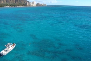 Oahu: Waikiki Private Schnorchel- und Wildtier-Bootstour