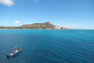 Oahu: Waikiki Private Schnorchel- und Wildtier-Bootstour