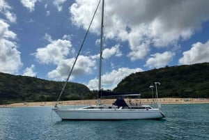 Oahu : Waikiki sailing turtle snorkeling in small groups