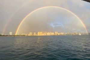 Oahu: Waikiki seilskilpadde snorkling i små grupper