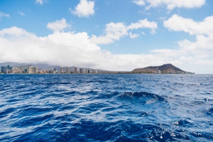 Oahu: Excursión de un día de snorkel y vela en Waikiki con almuerzo