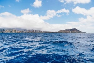 Oahu : Excursion d'une journée à Waikiki pour la plongée en apnée et la voile avec déjeuner