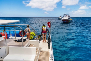Oahu : Excursion d'une journée à Waikiki pour la plongée en apnée et la voile avec déjeuner