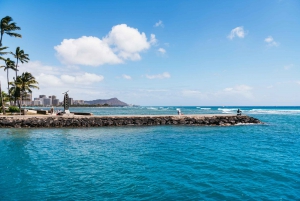 Oahu: Waikiki snorkel- og sejltur med frokost