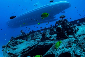 Oahu: Wycieczka łodzią podwodną Waikiki