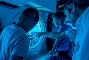 Oahu: Passeio de submarino em Waikiki