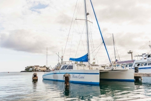 オアフ島：ワイキキ・サンセット・カタマラン・カクテル・クルーズ