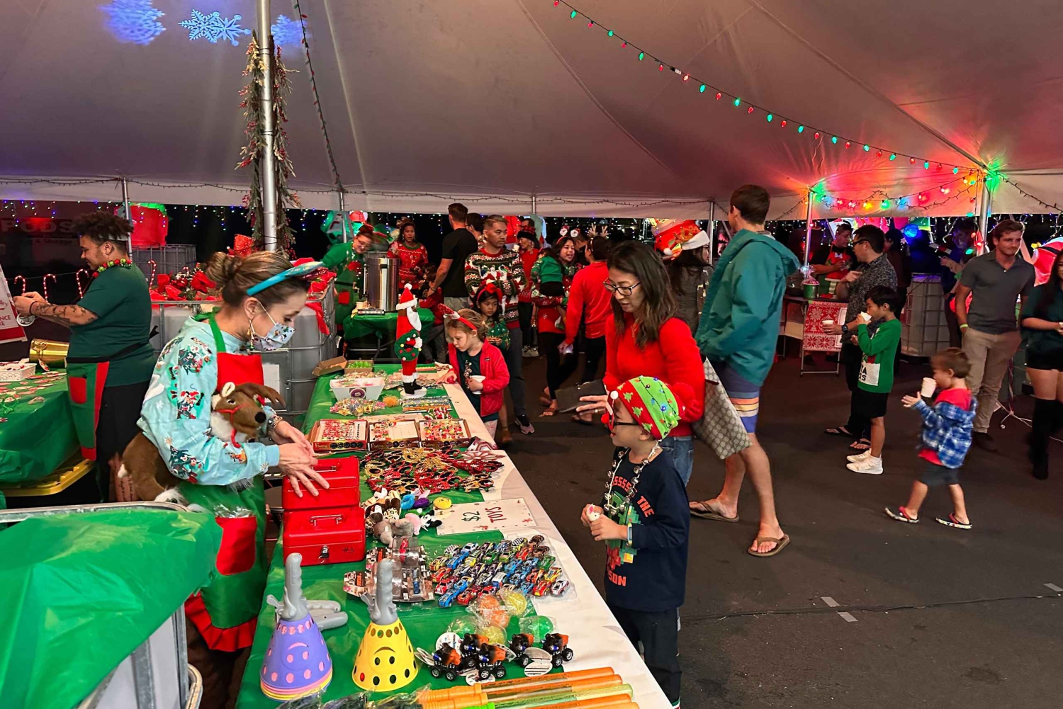 オアフ島：ワイキキ トロリー ホリデー ライツ ツアー