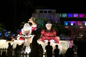 Oahu: Wycieczka Waikiki Trolley Holiday Lights Tour