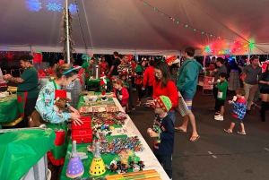 オアフ島：ワイキキ トロリー ホリデー ライツ ツアー