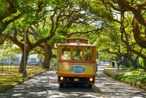 Oahu: Waikiki Trolley Hop-on Hop-off Pass voor alle lijnen