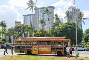 Oahu: Pase para todas las líneas del Tranvía Hop-on Hop-off de Waikiki