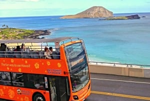 Oahu: Waikiki Trolley Hop-on Hop-off All-Line Pass: Waikiki Trolley Hop-on Hop-off All-Line Pass