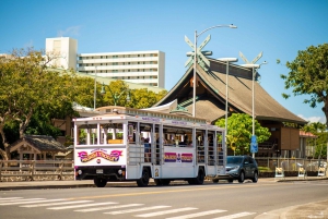 Oahu: Waikiki Trolley Hop-on Hop-off Pass voor alle lijnen