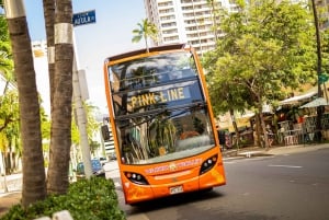 Oahu : pass pour toutes les lignes du Waikiki Trolley à arrêts multiples