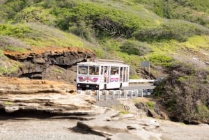 Oahu: Waikiki Trolley Hop-on Hop-off All-Line Pass