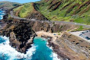 Oahu: Pase para todas las líneas del Tranvía Hop-on Hop-off de Waikiki