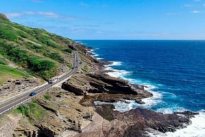 Oahu : Laissez-passer pour la ligne de tramway Waikiki (Hop-on Hop-off All-Line Pass)