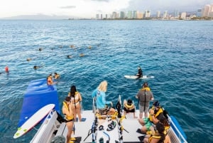 Oahu: crociera nei canyon delle tartarughe di Waikiki ed escursione di snorkeling